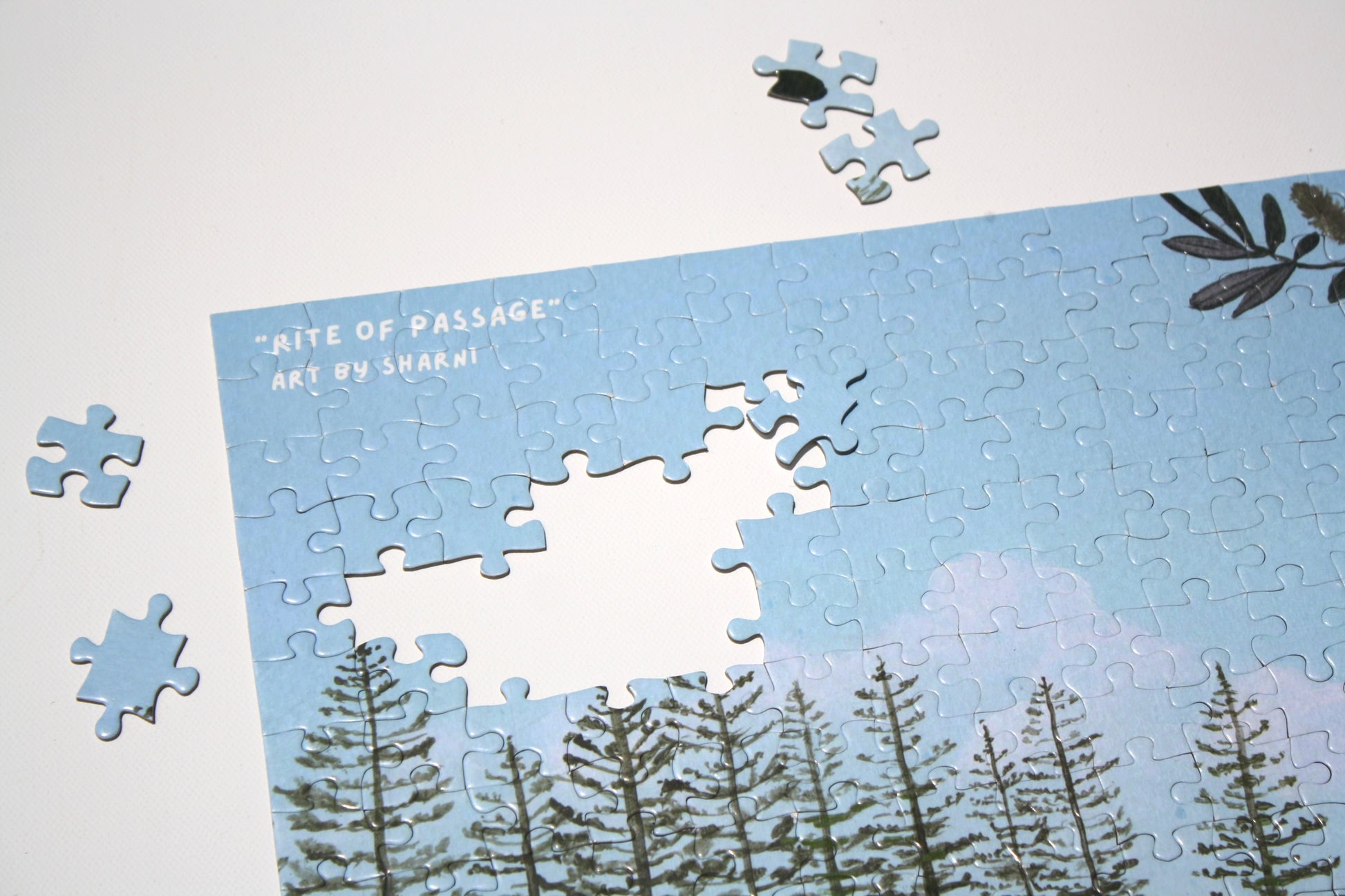 Limited Edition Art Puzzles